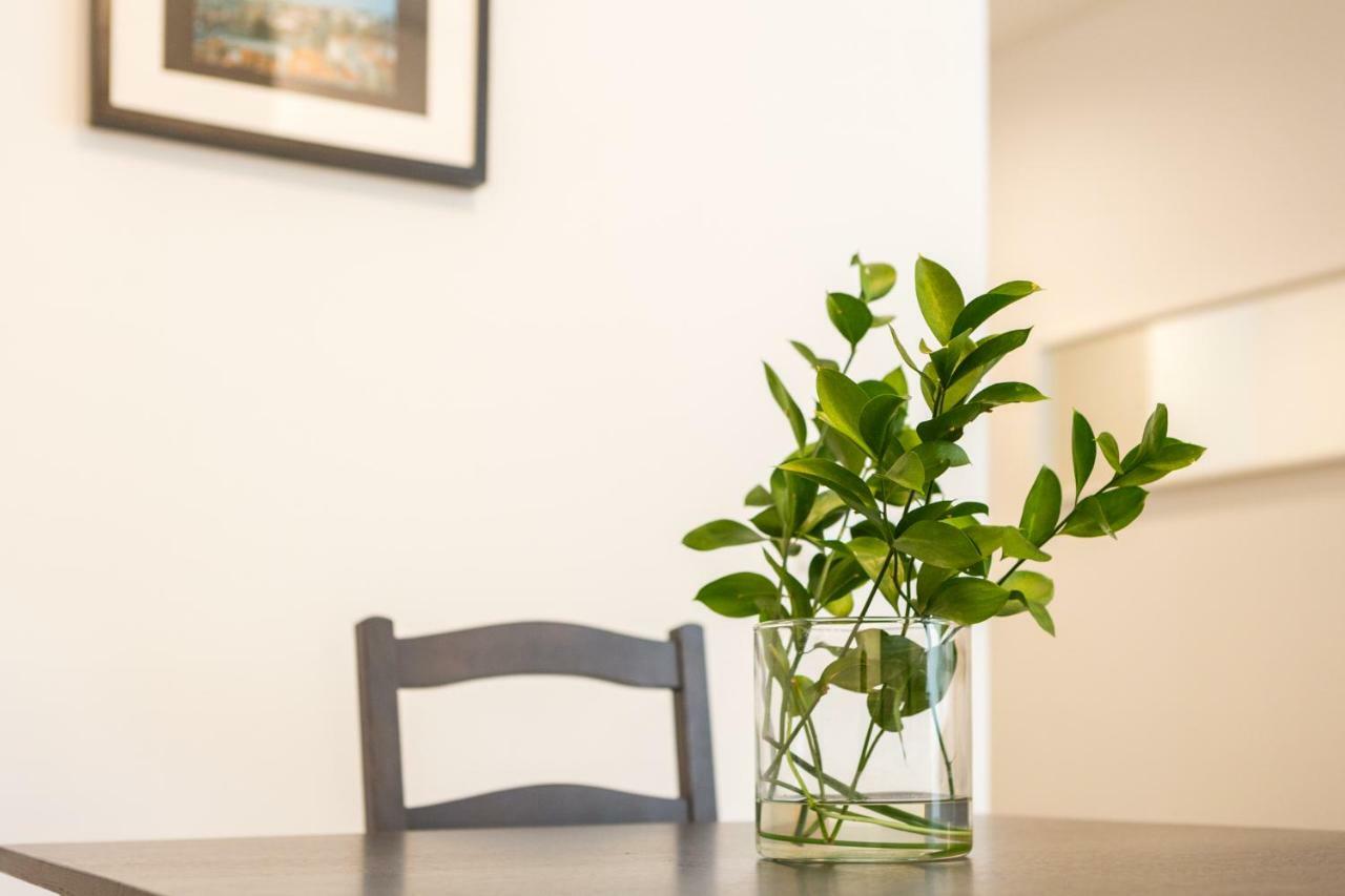 Samasal Trindade Apartments Porto Dış mekan fotoğraf